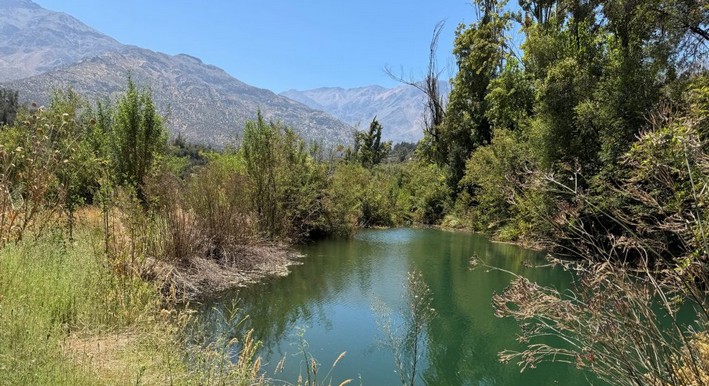 Chamber Approves New National Forest Service to Replace CONAF