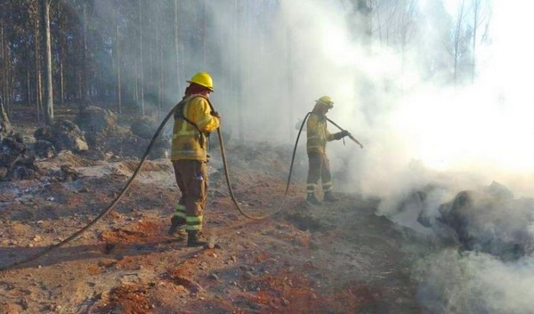 Experts Analyze Climatic Factors and Their Influence on the Decline of Forest Fires