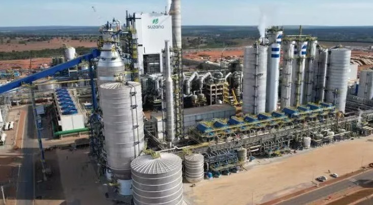 Pulp industry to invest over US$19 billion by 2028 in Brazil
