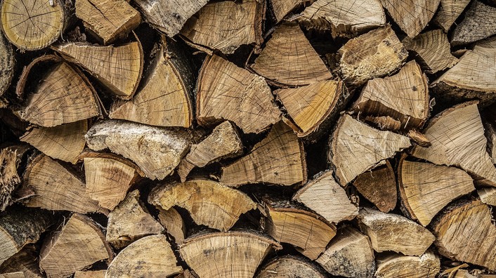 "A significant portion of the firewood sold in Puerto Montt originates from illegal logging of native forests"