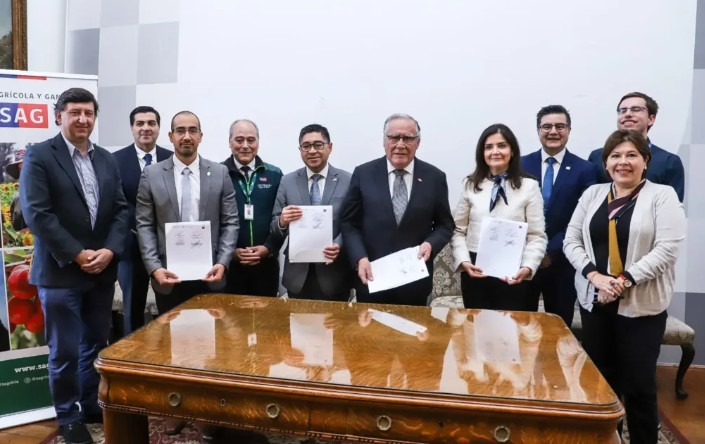 Biobío fortalece la vigilancia de plagas forestales con herramienta de inteligencia artificial