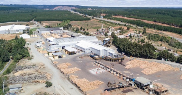 Arauco Permanently Closes El Colorado Sawmill in Curanilahue