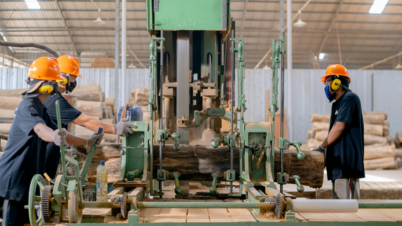 Alliance Between Companies in Maule Contributes to Innovation and Integration in the Forestry Industry