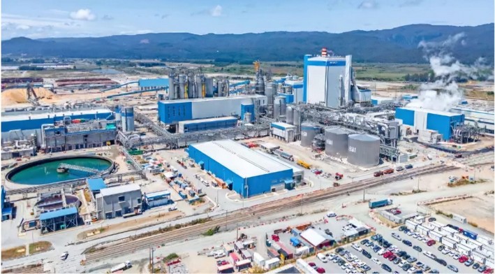 Angelini Group Advances Forestry Projects in Brazil, Mexico, and Chile