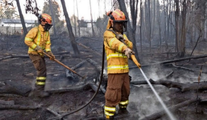 "Difficult" Wildfire Season Forecasted for La Araucanía Region