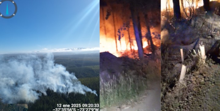 They used candles to start the fire: series of intentional wildfires confirmed in Los Álamos