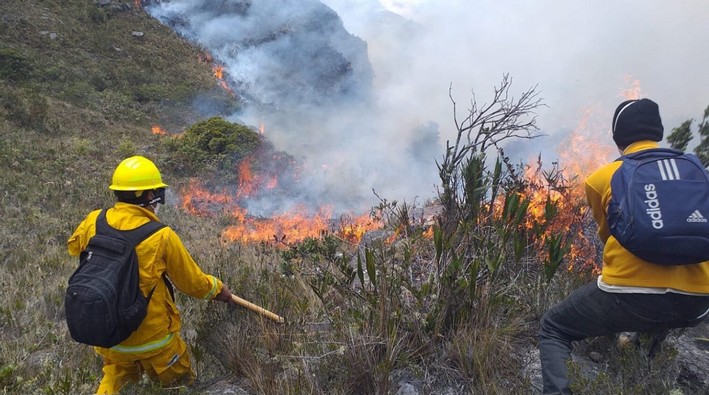 James MacCarthy, Researcher: “It’s Highly Likely We’ll Continue to See an Increase in the Frequency and Severity of Wildfires”