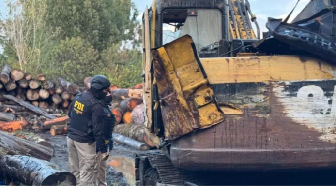 Timber Theft in Chonchi: 8 of 25 Accused Granted House Arrest as Legal Proceedings Continue