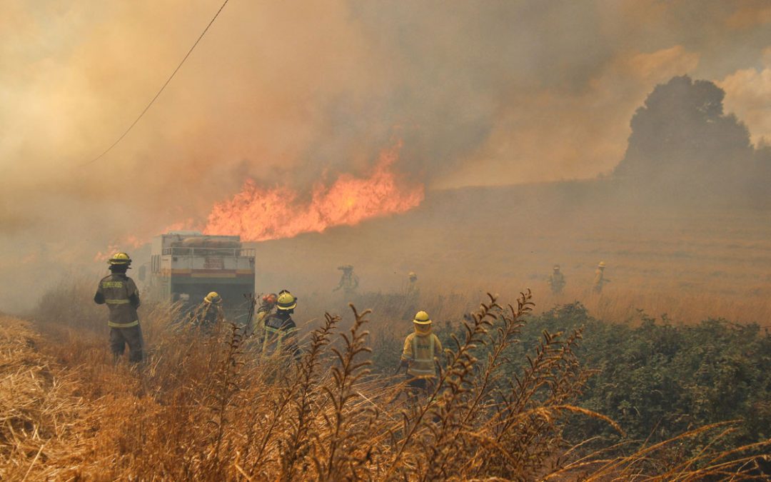 Ñuble strengthens outreach on anonymous and safe reporting to prevent crimes and forest fires