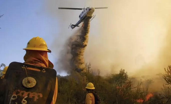 Forest Fire Prevention: The Imminent Approval of a Flawed Law