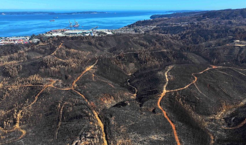 The $9.8 million seeking to recover forests and address the forestry employment crisis warned by Acoforag