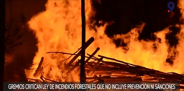 Guilds Criticize That Forest Fire Law Does Not Include Prevention or Penalties for Intentionality