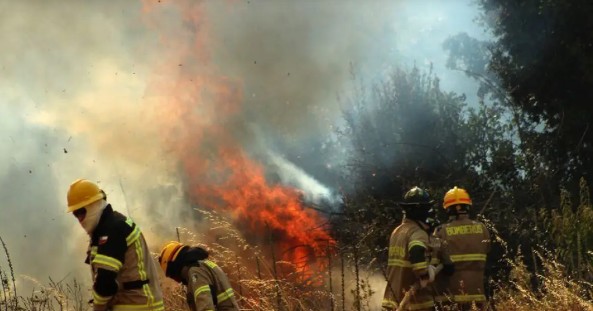 Corma Biobío Assures Resources Are Available and Deployed to Prevent Forest Fires