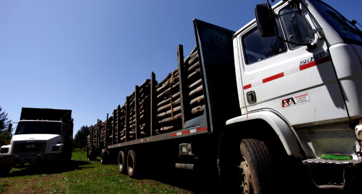 Desconforto na Seremi de Segurança da Araucania pelo fim das fiscalizações da Polícia Militar por roubo de madeira