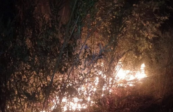 Strangers Threaten Firefighters Combating Forest Fire in Curanilahue with Gunshots