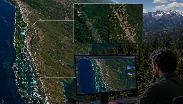 U. Mayor Team to Develop Project to Strengthen Forest Monitoring in Chile