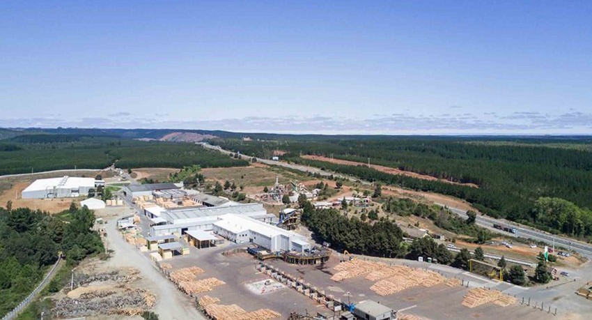 Closure of El Colorado Sawmill: Union Seeks Labor Retraining Measures