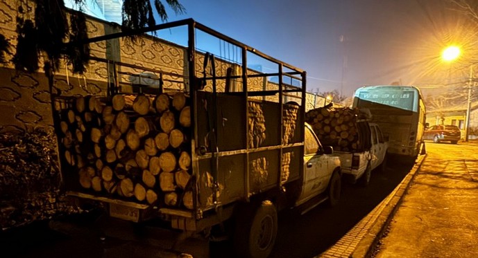 Timber Theft Ring Dismantled in Angol: Four Arrested