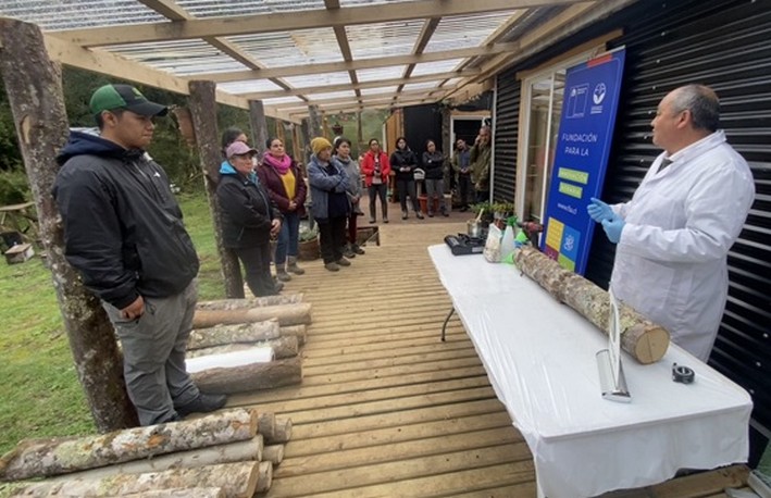 Infor promotes mycosilviculture in Aysén with innovative cultivation of edible mushrooms on tree logs