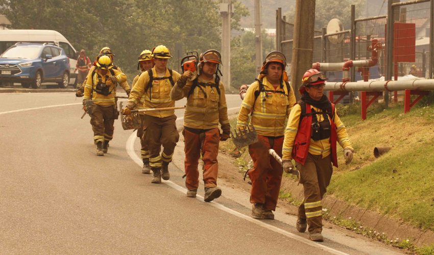 Conaf: Wildfires Decrease by 58% Compared to Last Season