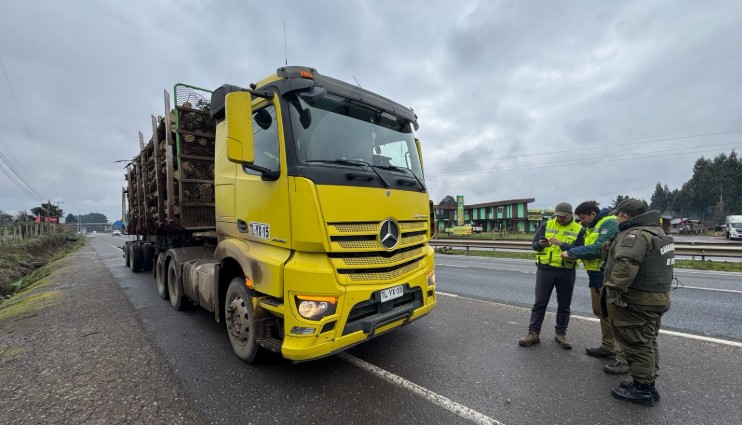 Joint operation by Conaf and Carabineros inspected forest transport on Route 5 South