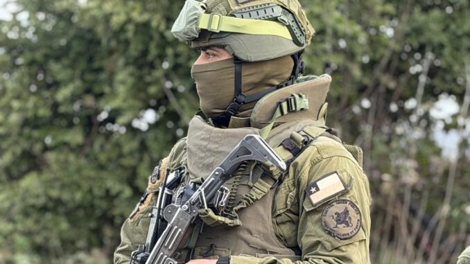 Interagency operation deployed against forestry crimes in Malleco