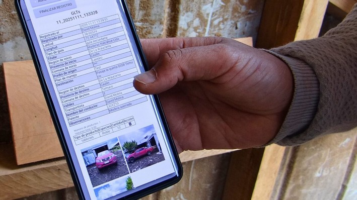 Digital Platform Allows Tracking of Wood from Forest to Market