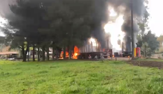 The Mapuche conflict shifts: violence and land seizures take root in Los Ríos and Los Lagos