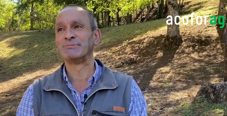 Primo Retamal and the Family Bond with the Forest on the Rural Roads of Tirúa