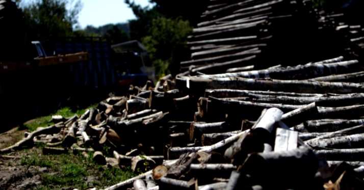 Small and Medium-Sized Timber Entrepreneurs and Forestry Contractors Accuse Severe Sector Crisis