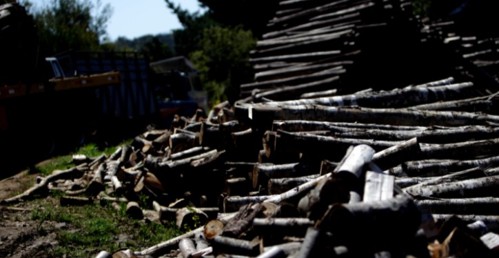 Man arrested for timber theft in Valdivia: owner of illegal logging operation truck