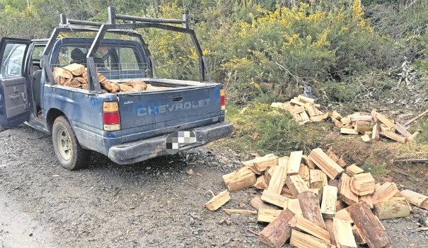 Operativo de la PDI termina con dos detenidos por extracción ilegal de madera en Alerce Costero