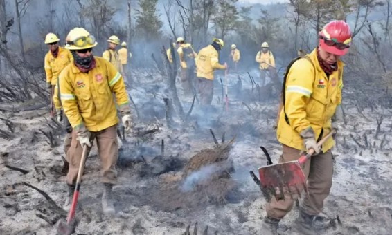 Facing a Complex Season, Conaf Seeks to Recruit 3,300 Firefighters