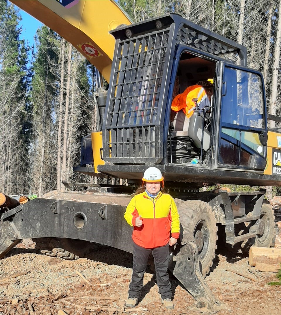 Participação da mulher no setor de contratantes florestais