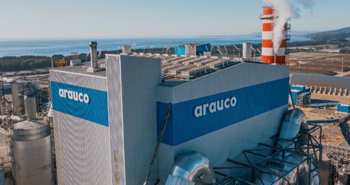 Arauco analisa vender florestas no Chile para ajudar a financiar seu megaprojeto de celulose no Brasil