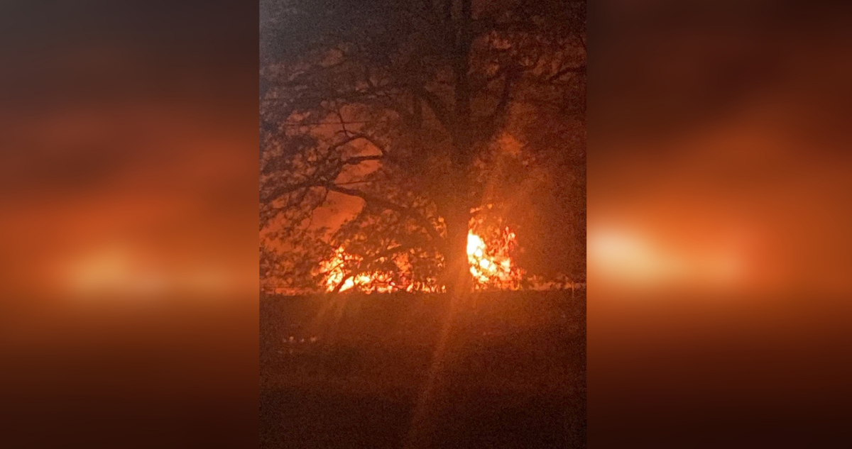 Violenta madrugada en Arauco y La Araucanía: queman camiones, un camping y disparan a Carabineros