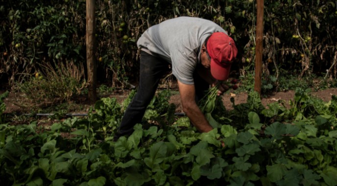 Los Lagos: Surprise Over Closure of Seremi of Agriculture Office in Osorno