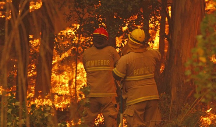 The Necessary Preventive Work Surrounding Forest Fires