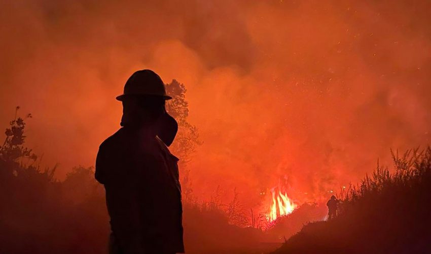 Ley de Incendios: aún no se conforma Comisión Mixta para avance del proyecto