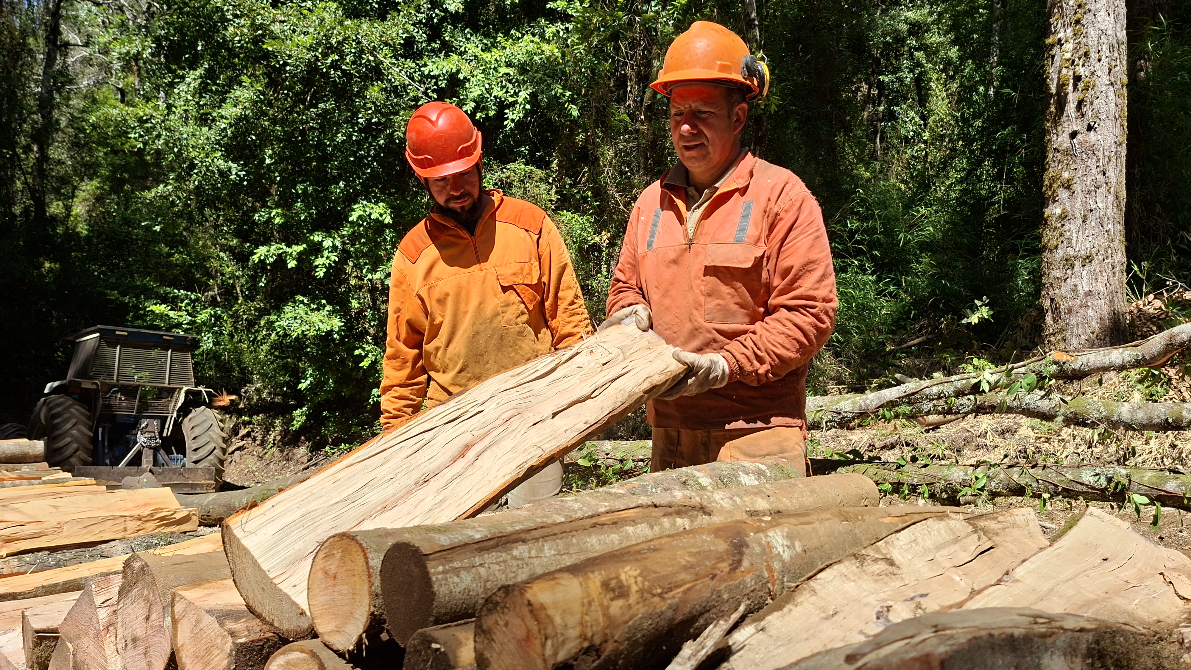 La Araucanía apuesta por el manejo sustentable de sus bosques nativos