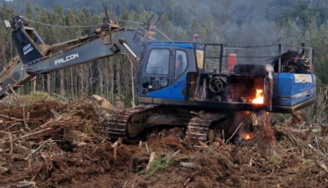 Arson attack halts operations at CMPC estate in Carahue