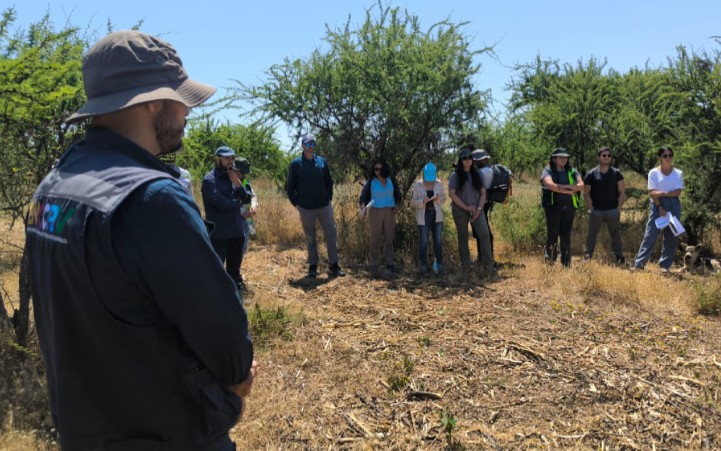 Forest Restoration and Management Project in Ñuble Shows 93% Progress