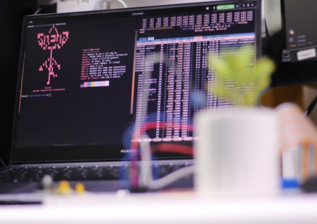 Research led by UNAB reveals how plants "decide" during drought