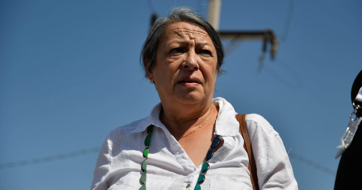 Forestry Contractors Protest Against Dialogue with CAM After INDH Proposal: "Enough of Santiago's Enlightened Elite"