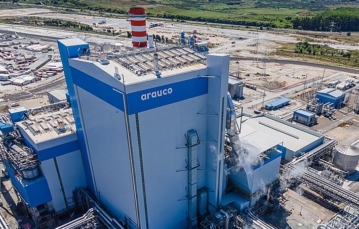 Forestal Arauco achieves good results thanks to cellulose