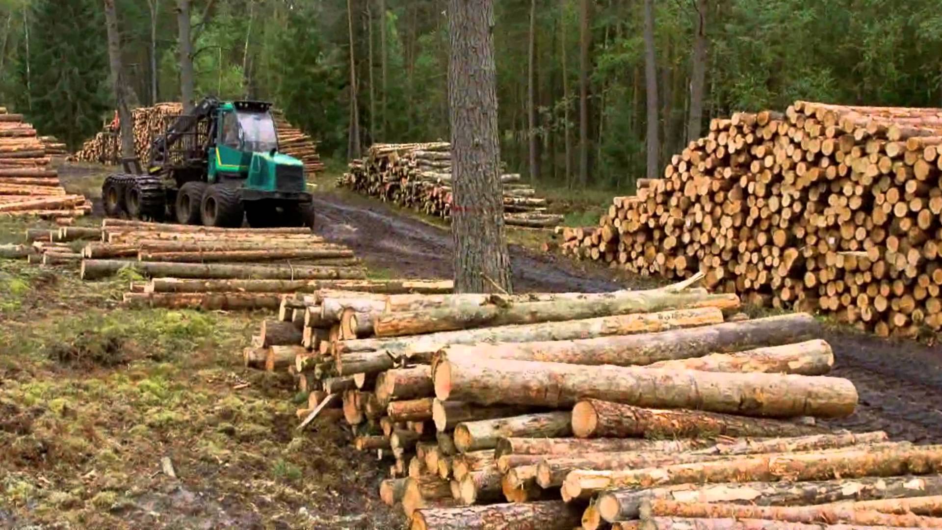 Forestry contractors happy with proposal to lease indigenous lands
