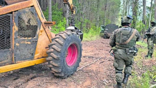 Illegal logging ring dismantled in Curaco: seven arrested