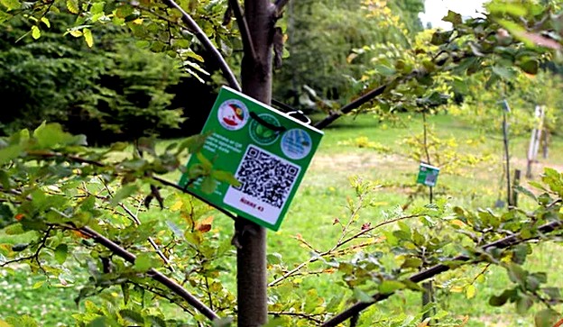 Osorno's Chuyaca Park Transforms into a Green Classroom with QR Codes