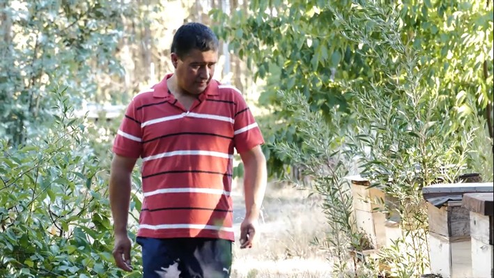 Familia Quilodrán-Vidal: apicultura y conservación, un legado que florece en los bosques del sur de Chile