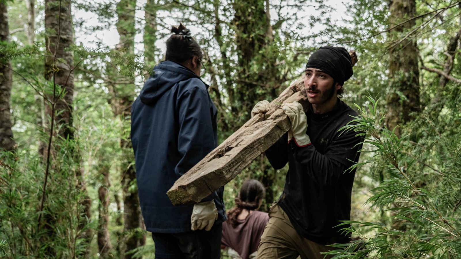 Volunteers Cross Borders to Protect the Millennial Larch